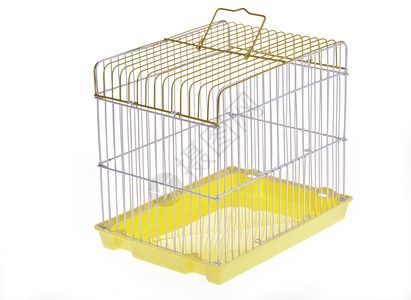 黄鸟笼高清图片