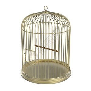 金鸟笼金属鸟笼监狱白色细胞鹦鹉动物宠物金子高清图片