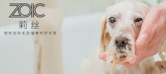 宠物美容哪个品牌好？ZOIC莉丝洗护系列呵护爱宠必备