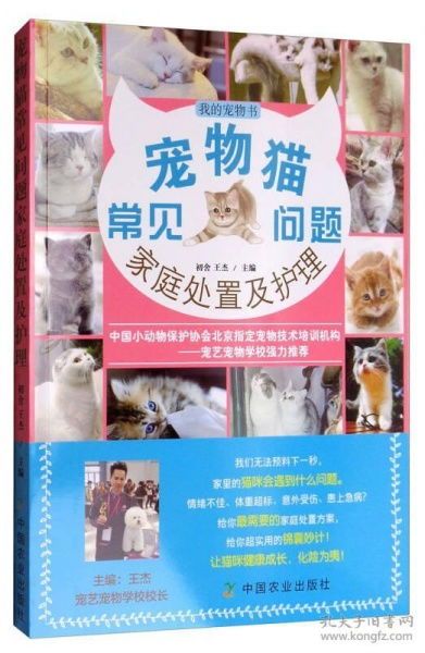 春节宠物猫养护指南
