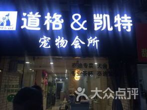 南京宠物店寻爱宠，养护培训等你来！