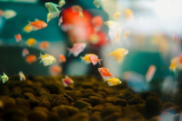 450亿“冷门”生意大爆发!这届年轻人的“癖好”不简单