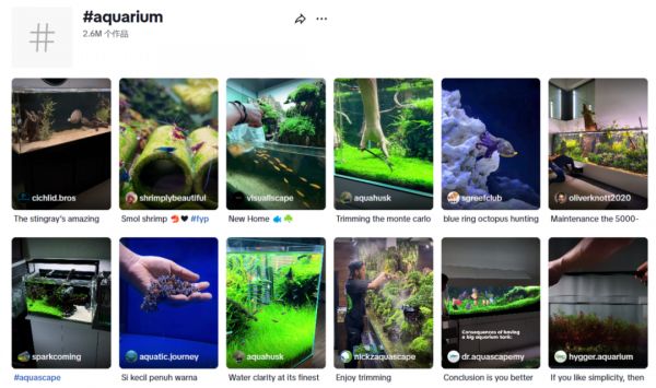450亿“冷门”生意大爆发!这届年轻人的“癖好”不简单