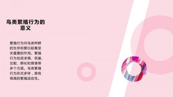 鸟类的繁殖行为和繁殖地选择_第4页