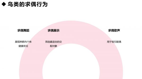鸟类的繁殖行为和繁殖地选择_第5页