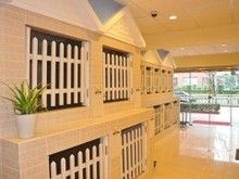 宠物店提供长期寄养服务