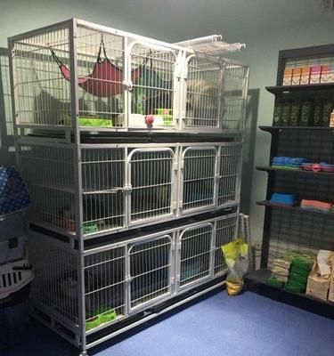 宠物店寄养所需证明及注意事项（了解宠物店寄养要求，让宠物得到贴心照料）