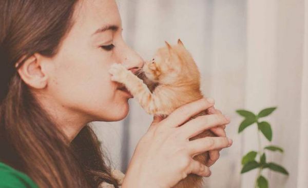 “把猫送去寄养,是我做过最后悔的事!”