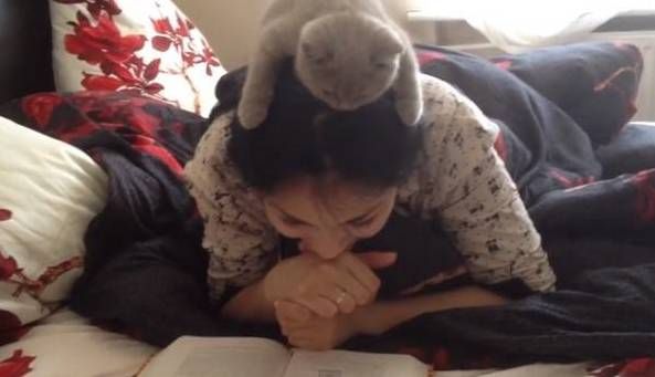 “把猫送去寄养,是我做过最后悔的事!”