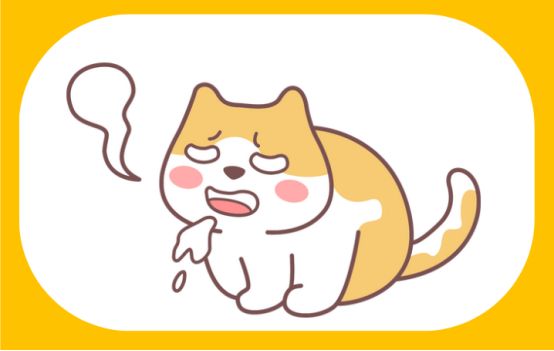 猫长时间不驱虫会怎么样？