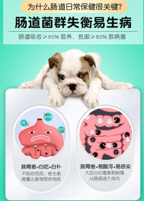 狗粮粘稠，易致宠物消化不良。