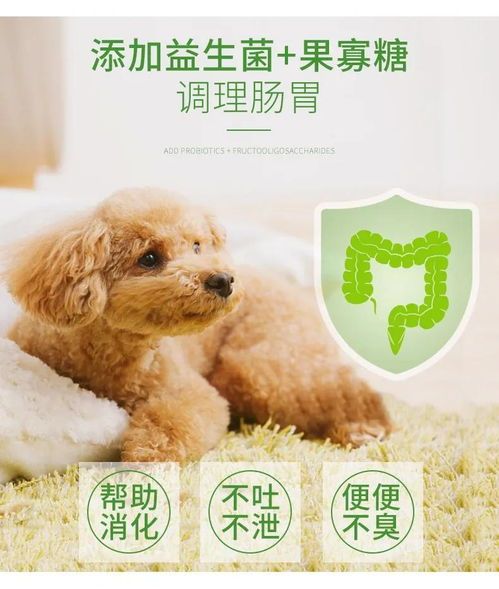 狗粮粘稠，易致宠物消化不良。