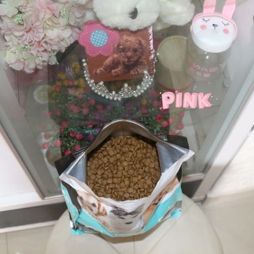 宠物狗粮泡温水更易消化吸收