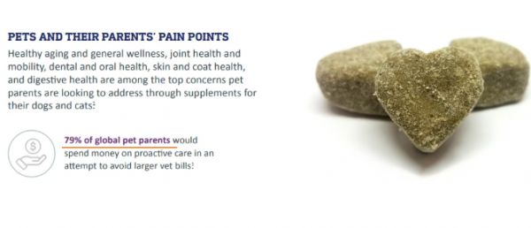 宠物赛道又一个新风口崛起,全球宠物主都在买这类产品