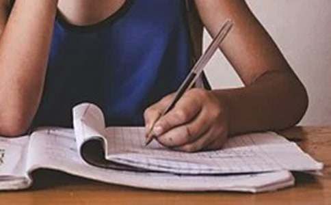 我的宠物鼠作文