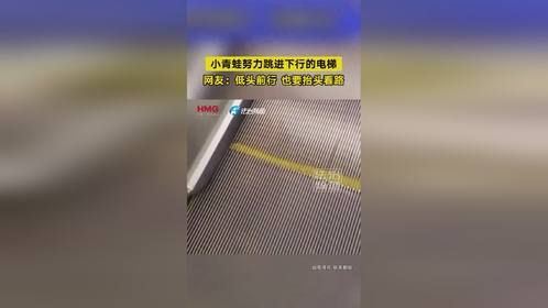 小青蛙努力跳进下行的电梯 网友：低头前行 也要抬头看路（钧）