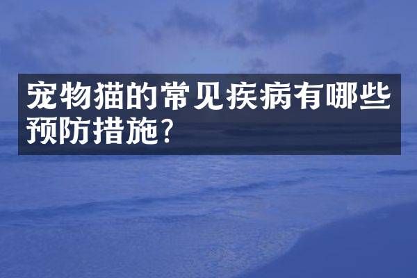 宠物猫的常见疾病有哪些预防措施?