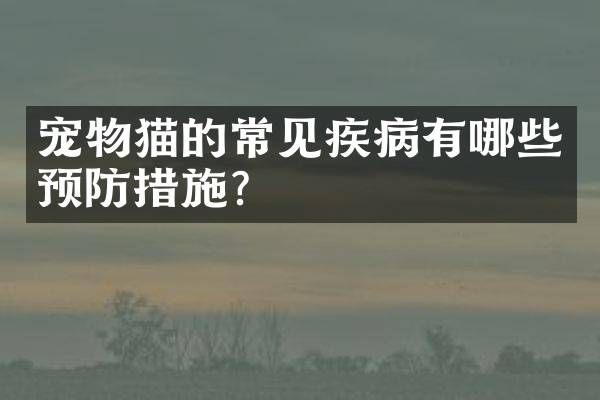 宠物猫的常见疾病有哪些预防措施?