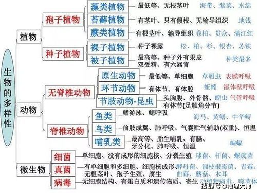 宠物医学知识点总结图详解