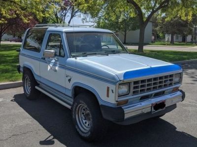 1984 Ford Bronco for sale
