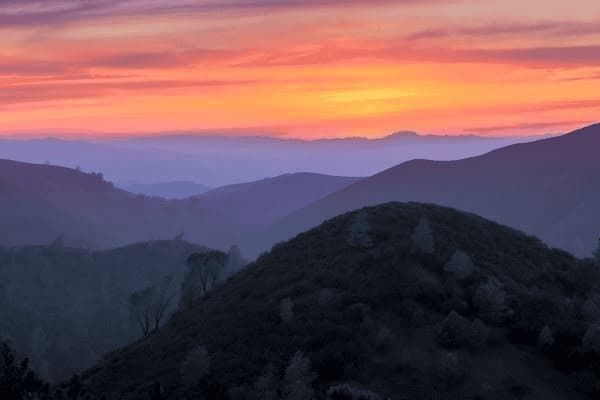 贵宾成犬吃什么食物好，贵宾成犬吃什么食物好消化