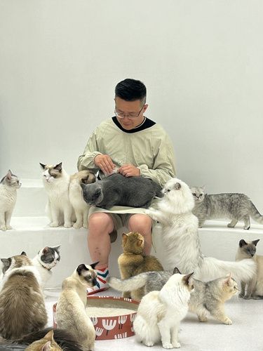 等等！你是说在宠物店里藏了家猫咖？那我得看看~