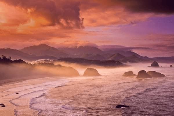 小型犬中体型较大的有什么，小型犬中体型较大的有什么品种