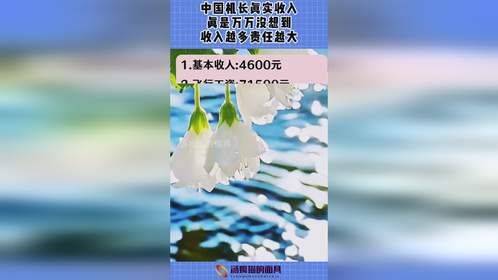 中国机长真实收入，真是万万没想到，收入越多责任越大！