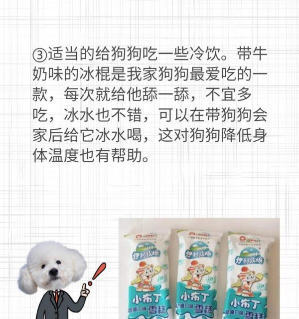 四个月大的狗狗如何补充营养？（一份详细的饮食指南帮助你为宠物提供均衡的营养）