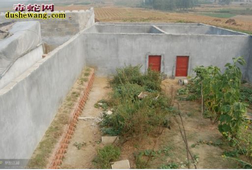 河北万全养蛇场养蛇基地