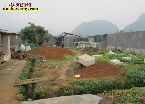 河北万全养蛇场养蛇基地