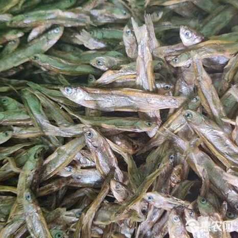  电商 宠物零食干 喂猫喂狗鱼干 干鱼 小鱼干