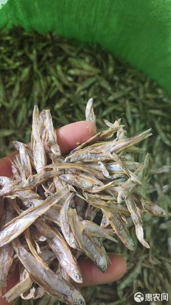  电商 宠物零食干 喂猫喂狗鱼干 干鱼 小鱼干