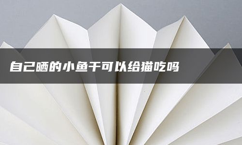 自己晒的小鱼干可以给猫吃吗