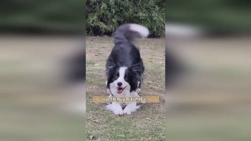 有一种年上年下的感觉