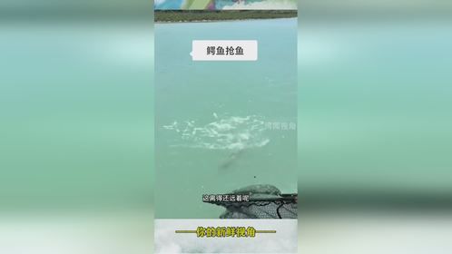 钓鱼命都不要了