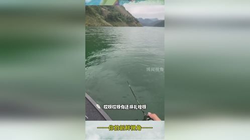 短短的几秒，需要用一生来释怀