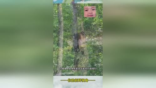 教育孩子哪能攀比呢