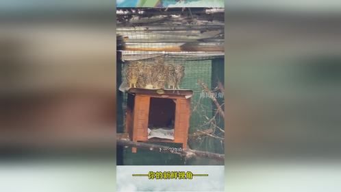 老师一看照片也差不多