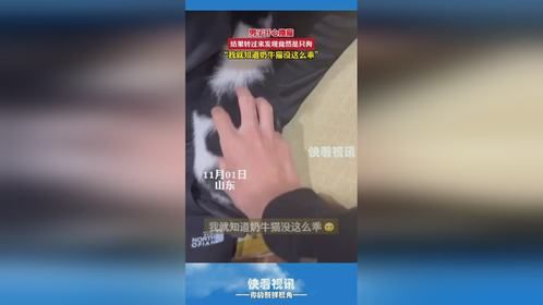 男子开心撸猫结果转过来发现竞然是只狗“我就知道奶牛猫没这么乖”