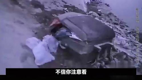 四川成都：想走的人留不住，不爱你的人也感动不了 #我的观影