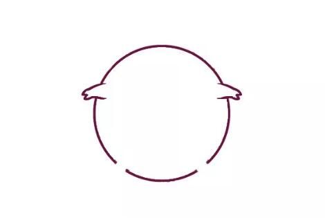 可爱的小猪简笔画教程图片