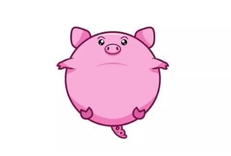 可爱的小猪简笔画教程图片