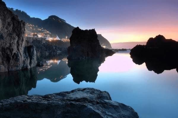 比熊犬两个月吃什么好，比熊犬两个月吃什么好消化