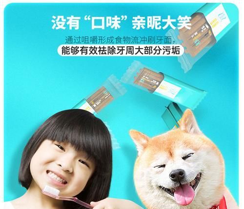 小磨牙棒狗的食用速度研究（探索小磨牙棒狗吃完的时间与消化效果的关系）