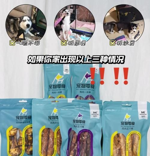 小磨牙棒狗的食用速度研究（探索小磨牙棒狗吃完的时间与消化效果的关系）
