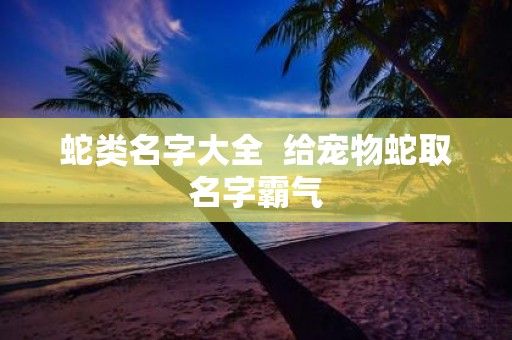 蛇类名字大全 给宠物蛇取名字霸气