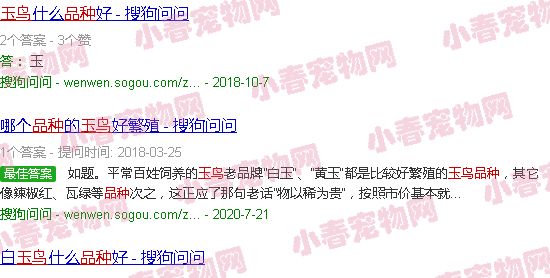 玉鸟最好品种图片