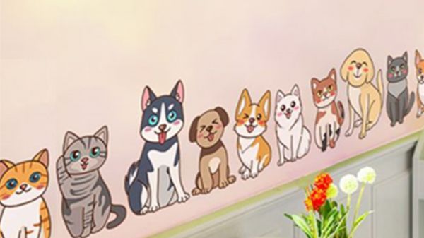 宠物店加盟要多少钱