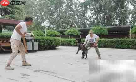 如何选择优质训犬师培训学校